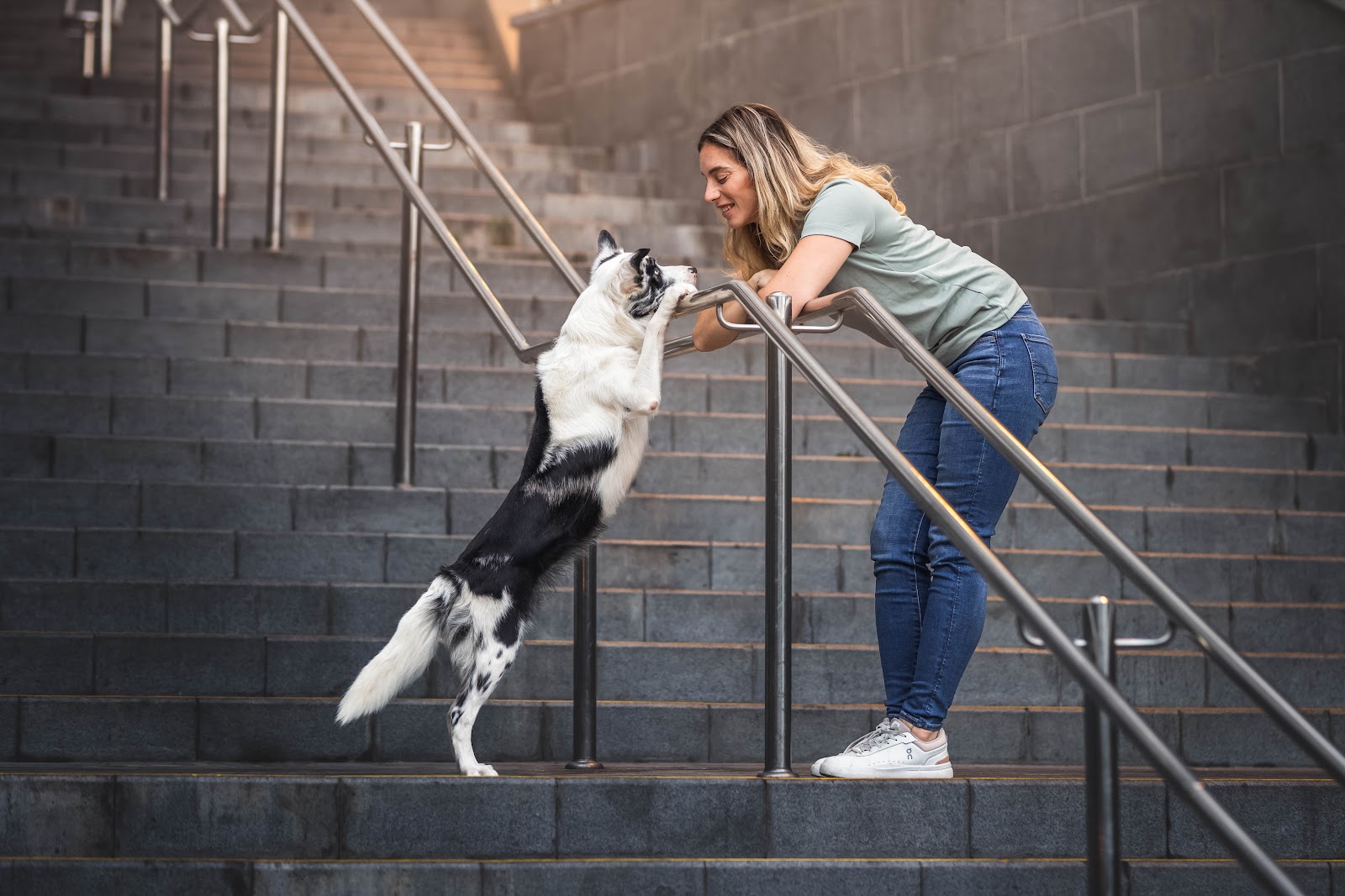Border collie standing on a stair rail, nose to nose with Roni