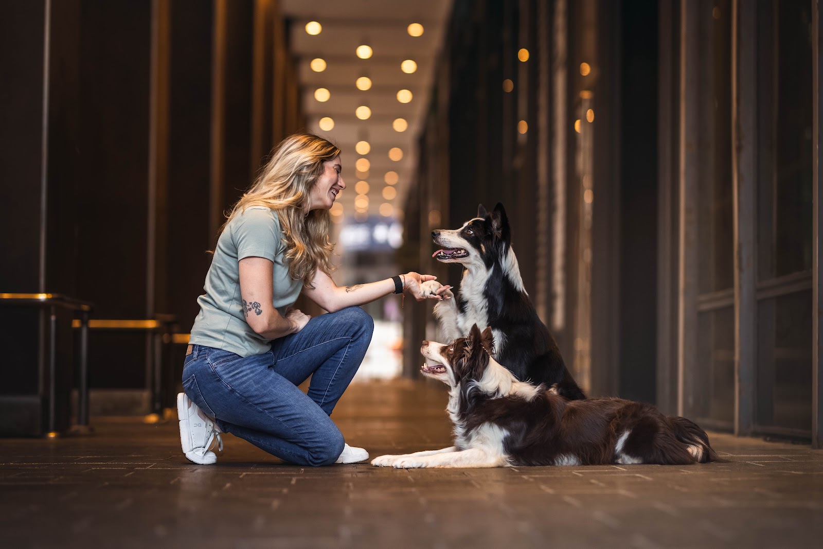 Roni kneeling and rewarding two border collies