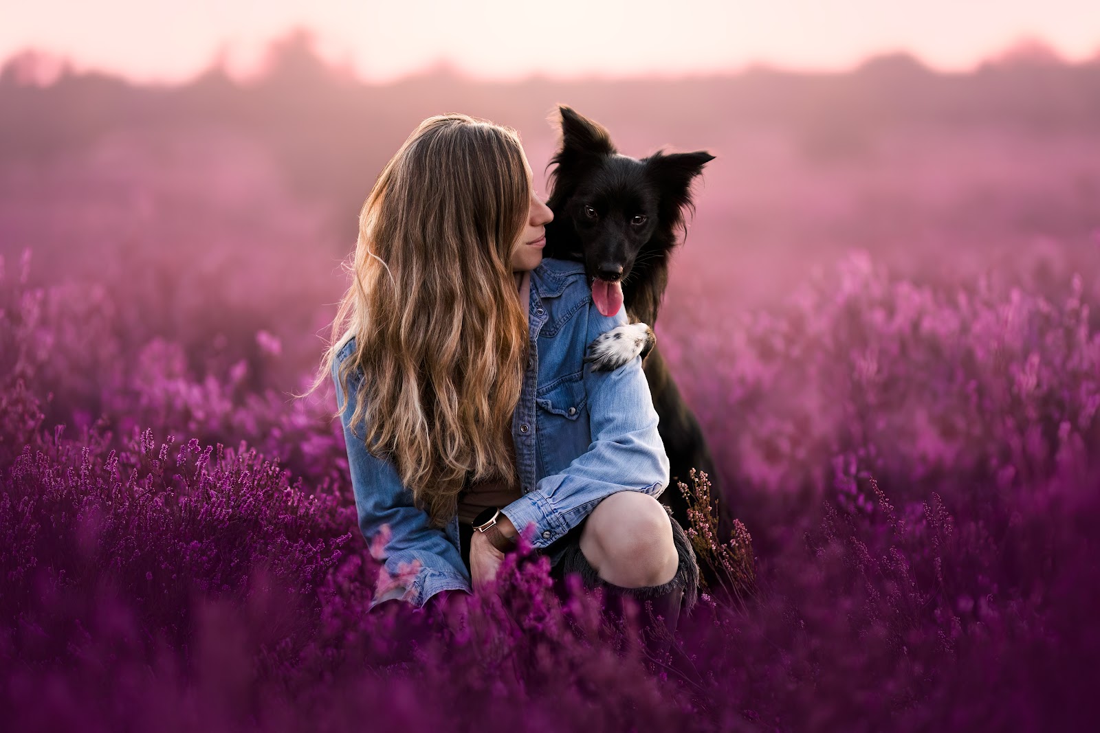 Roni embracing her dog in a lavender field at sunset